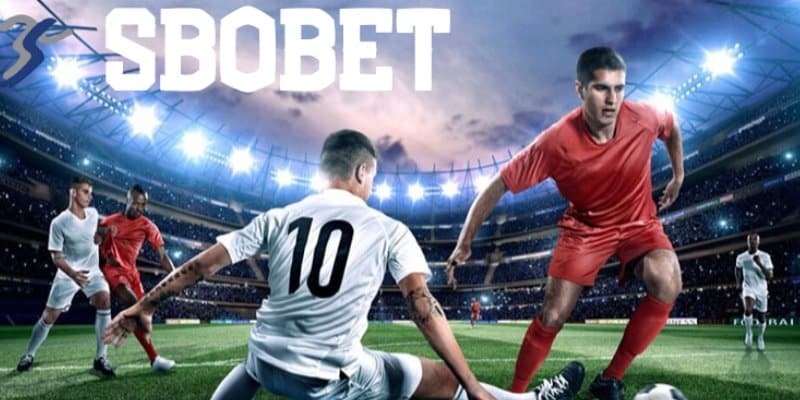 Hướng dẫn chơi cá độ bóng đá tại sbobet TK88 dành cho người mới chơi